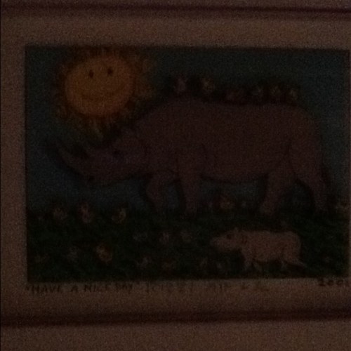 andreasotto5's profile picture. 