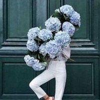Thetet (@thetetgr6v4) 's Twitter Profile