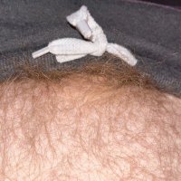 lilbro (@fuzzylilbro) 's Twitter Profile