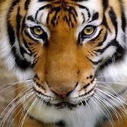 💯❤️💯❤️💯❤️💯❤️💯❤️💯❤️ Follow back 💯❤️💯 follow back ❤️💯❤️💯❤️💯❤️💯❤️💯❤️💯 follow back ❤️💯❤️💯❤️💯❤️💯❤️💯❤️💯❤️💯❤️💯❤️💯❤️💯❤️