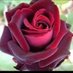 Imran Khan (@imran_khun6422) Twitter profile photo Imran Khan (@imran_khun6422) Twitter profile photo