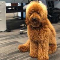 Larsonomics (@larsonomics) 's Twitter Profile