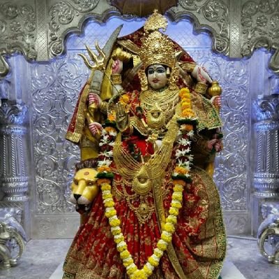 AshuGohil28693's profile picture. Singing