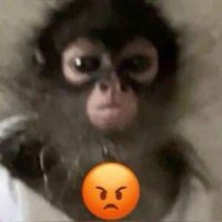 delayk𒉭 (@intdelayk) 's Twitter Profile