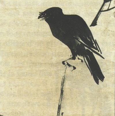 limited_minds's profile picture. 