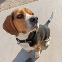 Ricardo (@ricardo_888) 's Twitter Profile