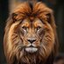 Humble lion (@mensah_ric13239) Twitter profile photo Humble lion (@mensah_ric13239) Twitter profile photo