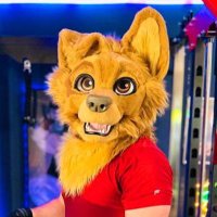 Luc (@lucthelab) 's Twitter Profile
