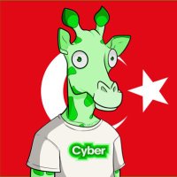 Cyber Türkiye (@buildoncybertr) 's Twitter Profile