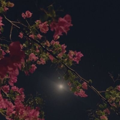 ﴿ لَّا إِلَٰهَ إِلَّا أَنتَ سُبْحَانَكَ إِنِّي كُنتُ مِنَ الظَّالِمِينَ ﴾