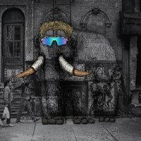 cryptonisma.eth (✸,✸) (@cryptonisma) 's Twitter Profile