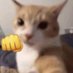 Rekka Kien (@rekka_kien) Twitter profile photo Rekka Kien (@rekka_kien) Twitter profile photo