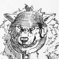 Lupe (@lupesilverwind) 's Twitter Profile Photo