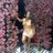 Emi123ABC's profile image