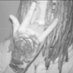 blat (@blattwinbckwrds) Twitter profile photo blat (@blattwinbckwrds) Twitter profile photo