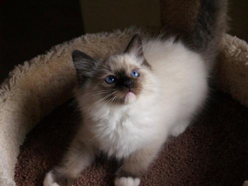 SJK1010's profile picture. :)