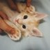 zzzzzzz (@zzyzzzzzzz123) Twitter profile photo zzzzzzz (@zzyzzzzzzz123) Twitter profile photo