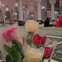 حـفــوص🕊️💜💜 (@haphza_5) 's Twitter Profile