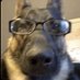 Raúl (@ral43256345) Twitter profile photo Raúl (@ral43256345) Twitter profile photo