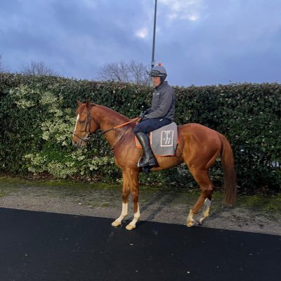 stable lad at Tom Ward racing, horse racing, gaming