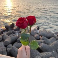 مس ريهام رياضيات (@ms_ryham69569) 's Twitter Profile