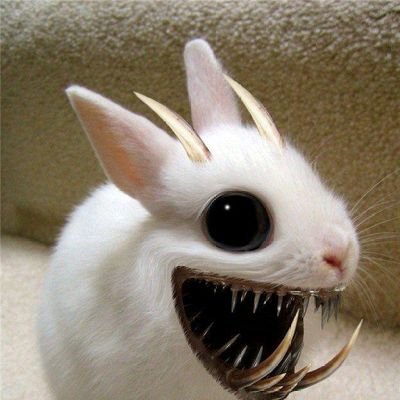 CraqerJaq's profile picture. 