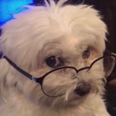 2022 NA Genshin Impact University Carnival Champion // Owner of Frontier Doubles League - https://t.co/K1s0DXZSut // Check me out on Twitch!