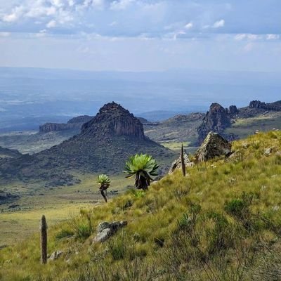 BoenR90429's profile picture. 