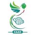 CAAG (@_caag) Twitter profile photo CAAG (@_caag) Twitter profile photo