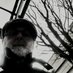Jim Sweeney. (@oldnurse55) Twitter profile photo Jim Sweeney. (@oldnurse55) Twitter profile photo