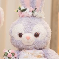 にゃこちゃん🐈 (@9wh0crj) 's Twitter Profile Photo にゃこちゃん🐈 (@9wh0crj) 's Twitter Profile Photo