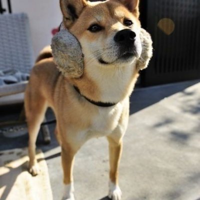 towatowa108's profile picture. vtuber asmr