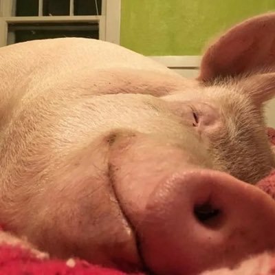 Bnn_clan's profile picture. 