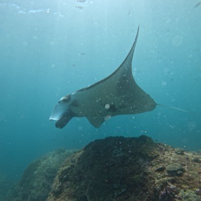 sekcation's profile picture. 