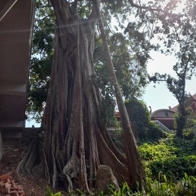 rung80603's profile picture. 