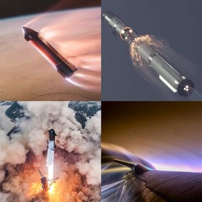 SpecX117794's profile picture. 