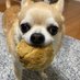 HT@🐶🐎本垢 (@ht_umaren) Twitter profile photo HT@🐶🐎本垢 (@ht_umaren) Twitter profile photo