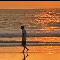 Chris (@chrisca90073568) 's Twitter Profile