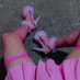 PennyHeelsHot (@pennyhotheels) Twitter profile photo PennyHeelsHot (@pennyhotheels) Twitter profile photo
