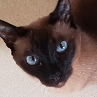 DARCY (@darcy774433) 's Twitter Profile