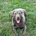 Doug Heaster (@doug_heast47346) Twitter profile photo Doug Heaster (@doug_heast47346) Twitter profile photo