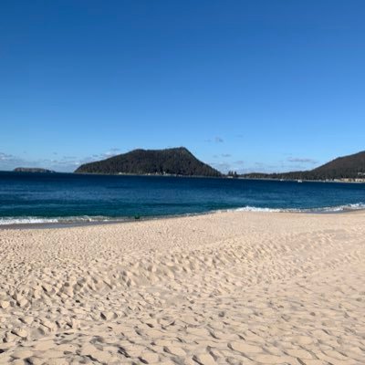 donkeyfeatures's profile picture. 