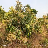 ಅರವಿಂದ (@amruthbe) 's Twitter Profile