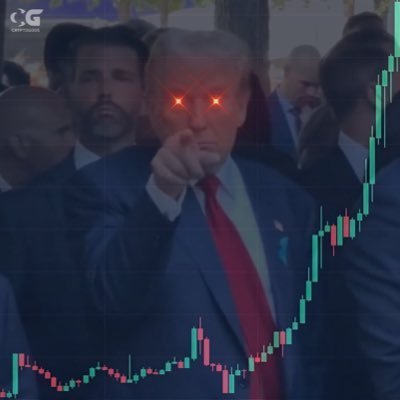 theanalyza's profile picture. lead crypto analyst on X