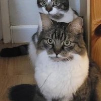 Alicja (@alicja1263) 's Twitter Profile Photo Alicja (@alicja1263) 's Twitter Profile Photo