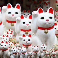 Amy (@amy_yab) 's Twitter Profile