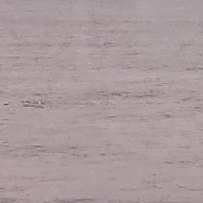 Char_Bloodworth's profile picture. Just joined the movement to Bluesky. #Medsky