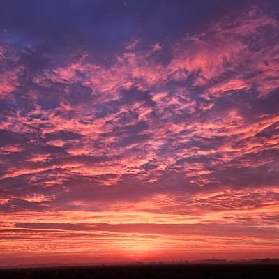 Mr_J_1138's profile picture. Human