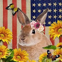 Queen Hammermeister (@savagebunny22) 's Twitter Profile