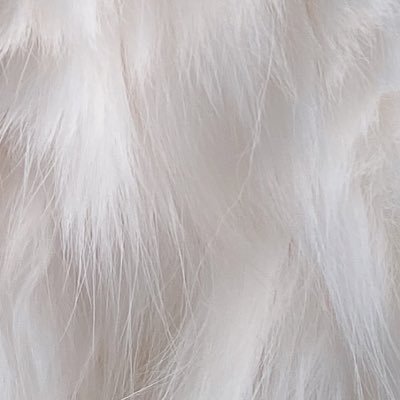 やくさんのプロフィール画像